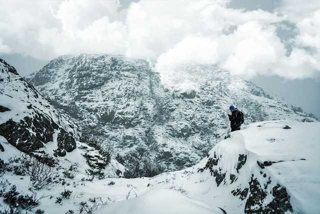 listing card gallery